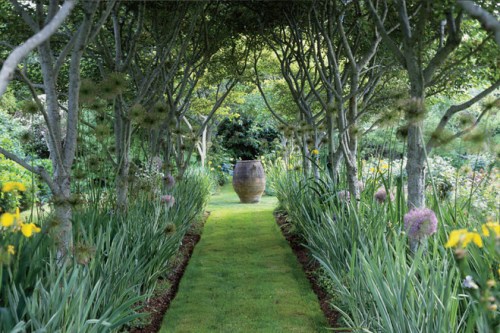 OB-SR317_mag051_H_20120422170355