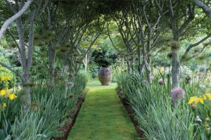 Edwina Von Gal The Long Table