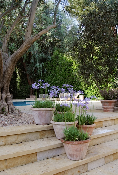 Screen Shot 2016-07-26 at 10.28.56 AM